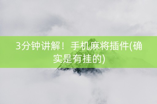 3分钟讲解！手机麻将插件(确实是有挂的)
