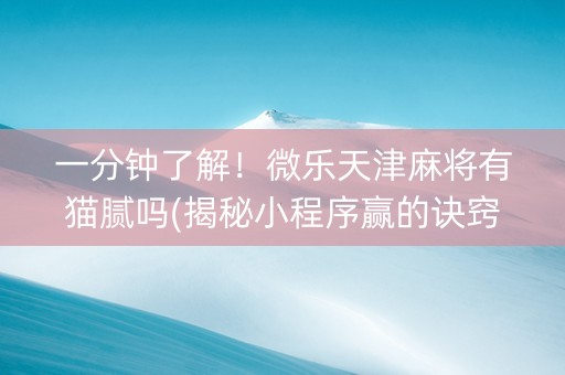 一分钟了解！微乐天津麻将有猫腻吗(揭秘小程序赢的诀窍)