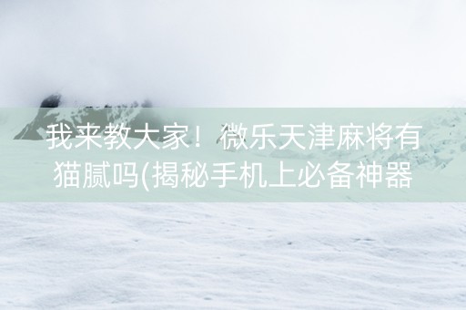 我来教大家！微乐天津麻将有猫腻吗(揭秘手机上必备神器)