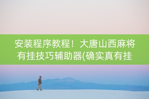 安装程序教程！大唐山西麻将有挂技巧辅助器(确实真有挂)