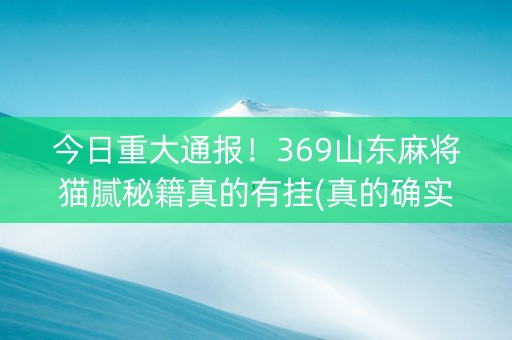 今日重大通报！369山东麻将猫腻秘籍真的有挂(真的确实是有挂)