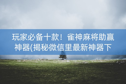 玩家必备十款！雀神麻将助赢神器(揭秘微信里最新神器下载)