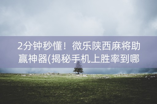2分钟秒懂！微乐陕西麻将助赢神器(揭秘手机上胜率到哪调)