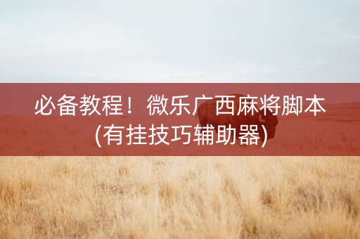 必备教程！微乐广西麻将脚本(有挂技巧辅助器)