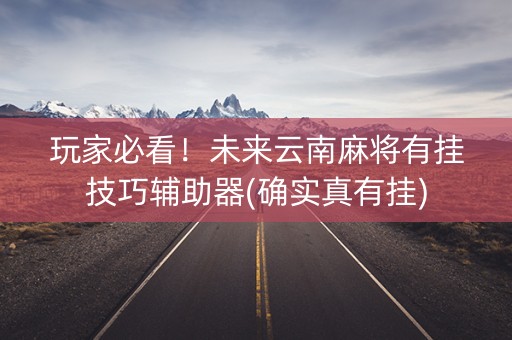 玩家必看！未来云南麻将有挂技巧辅助器(确实真有挂)
