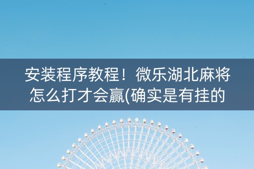 安装程序教程！微乐湖北麻将怎么打才会赢(确实是有挂的)