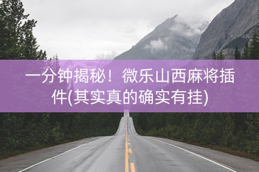 一分钟揭秘！微乐山西麻将插件(其实真的确实有挂)