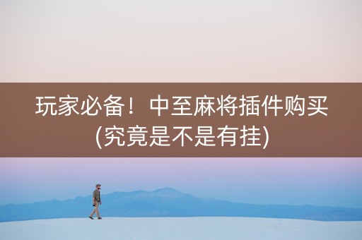 玩家必备！中至麻将插件购买(究竟是不是有挂)