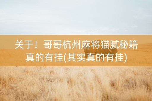 关于！哥哥杭州麻将猫腻秘籍真的有挂(其实真的有挂)