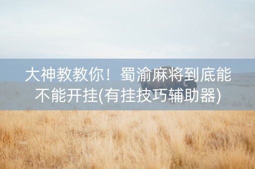 大神教教你！蜀渝麻将到底能不能开挂(有挂技巧辅助器)