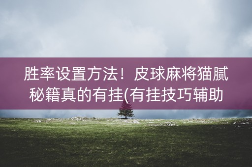 胜率设置方法！皮球麻将猫腻秘籍真的有挂(有挂技巧辅助器)