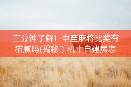 三分钟了解！中至麻将比奖有猫腻吗(揭秘手机上自建房怎么赢)