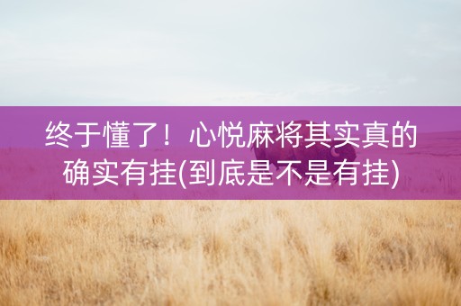 终于懂了！心悦麻将其实真的确实有挂(到底是不是有挂)