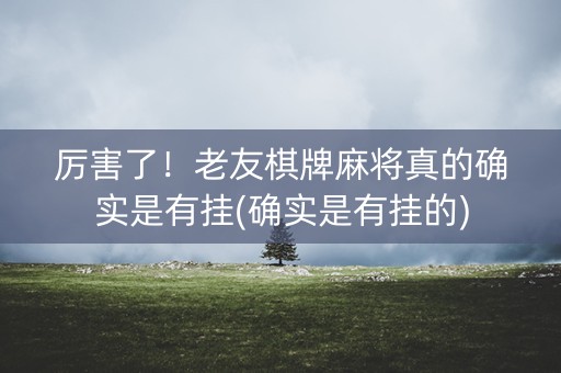 厉害了！老友棋牌麻将真的确实是有挂(确实是有挂的)
