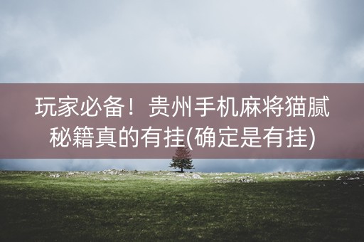 玩家必备！贵州手机麻将猫腻秘籍真的有挂(确定是有挂)