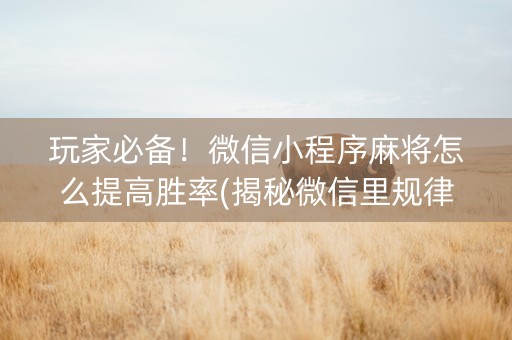 玩家必备！微信小程序麻将怎么提高胜率(揭秘微信里规律攻略)