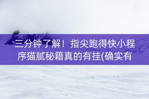 三分钟了解！指尖跑得快小程序猫腻秘籍真的有挂(确实有挂吗)