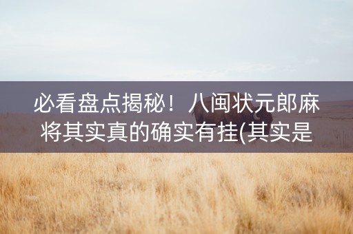必看盘点揭秘！八闽状元郎麻将其实真的确实有挂(其实是有挂确实有挂)