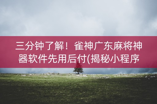 三分钟了解！雀神广东麻将神器软件先用后付(揭秘小程序最新神器下载)