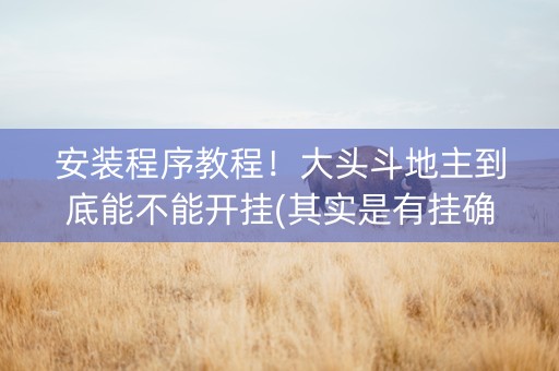 安装程序教程！大头斗地主到底能不能开挂(其实是有挂确实有挂)