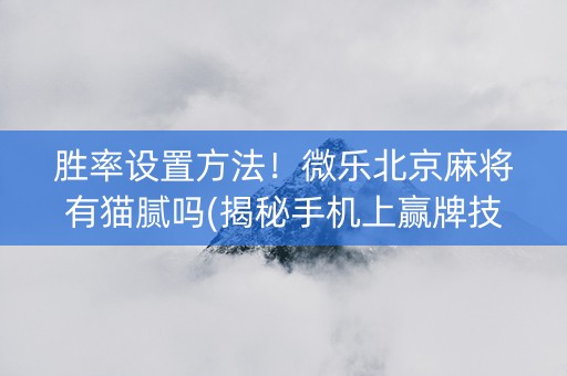 胜率设置方法！微乐北京麻将有猫腻吗(揭秘手机上赢牌技巧)