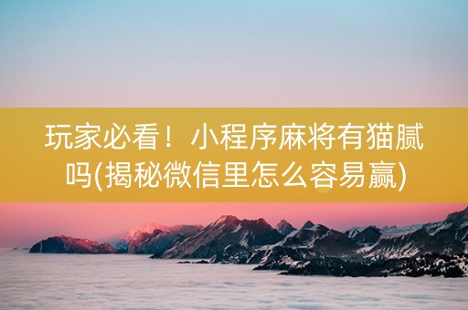 玩家必看！小程序麻将有猫腻吗(揭秘微信里怎么容易赢)