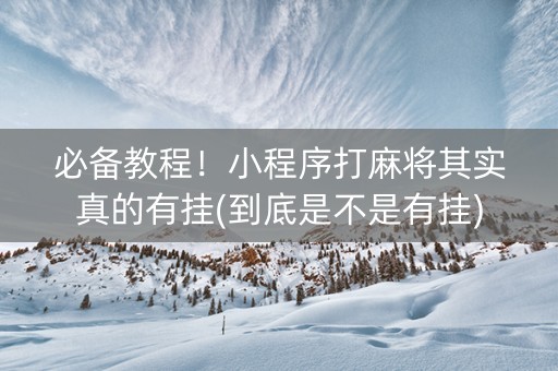 必备教程！小程序打麻将其实真的有挂(到底是不是有挂)