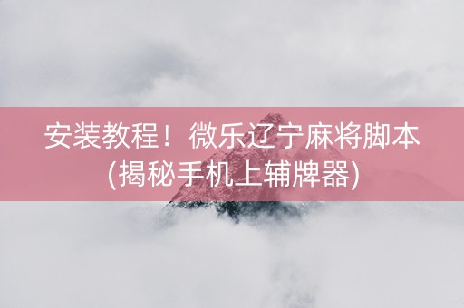 安装教程！微乐辽宁麻将脚本(揭秘手机上辅牌器)