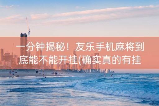 一分钟揭秘！友乐手机麻将到底能不能开挂(确实真的有挂)