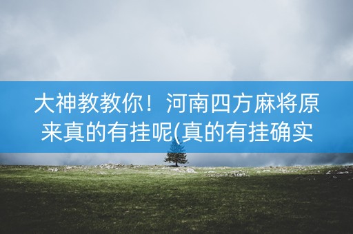 大神教教你！河南四方麻将原来真的有挂呢(真的有挂确实有挂)
