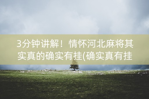 3分钟讲解！情怀河北麻将其实真的确实有挂(确实真有挂)