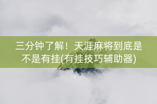 三分钟了解！天涯麻将到底是不是有挂(有挂技巧辅助器)
