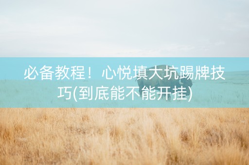 必备教程！心悦填大坑踢牌技巧(到底能不能开挂)