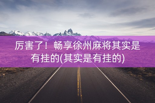 厉害了！畅享徐州麻将其实是有挂的(其实是有挂的)