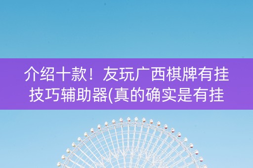 介绍十款！友玩广西棋牌有挂技巧辅助器(真的确实是有挂)