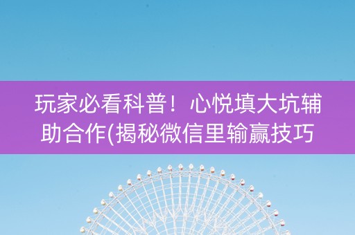 玩家必看科普！心悦填大坑辅助合作(揭秘微信里输赢技巧)