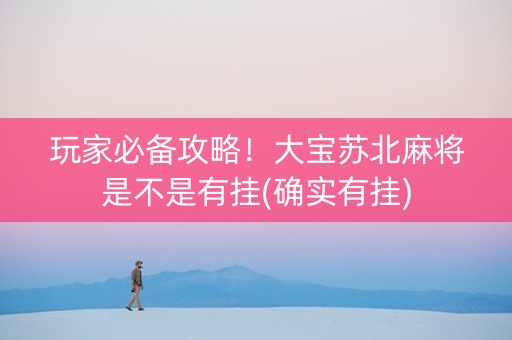 玩家必备攻略！大宝苏北麻将是不是有挂(确实有挂)