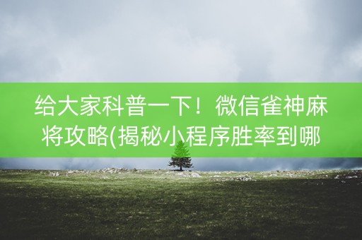 给大家科普一下！微信雀神麻将攻略(揭秘小程序胜率到哪调)