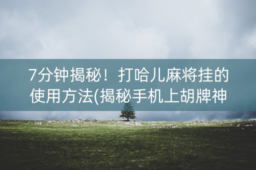 7分钟揭秘！打哈儿麻将挂的使用方法(揭秘手机上胡牌神器)