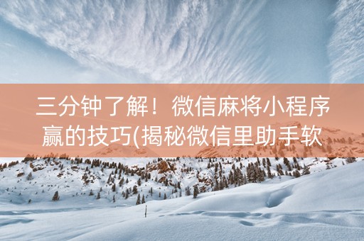 三分钟了解！微信麻将小程序赢的技巧(揭秘微信里助手软件)
