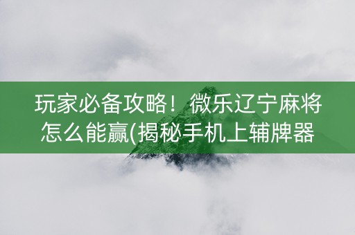 玩家必备攻略！微乐辽宁麻将怎么能赢(揭秘手机上辅牌器)