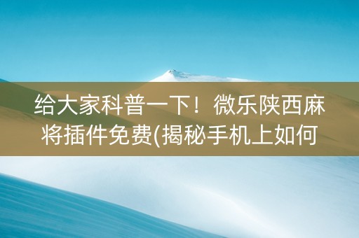 给大家科普一下！微乐陕西麻将插件免费(揭秘手机上如何让牌变好)