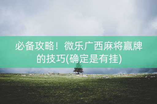 必备攻略！微乐广西麻将赢牌的技巧(确定是有挂)