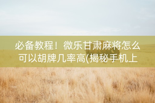 必备教程！微乐甘肃麻将怎么可以胡牌几率高(揭秘手机上助赢神器)