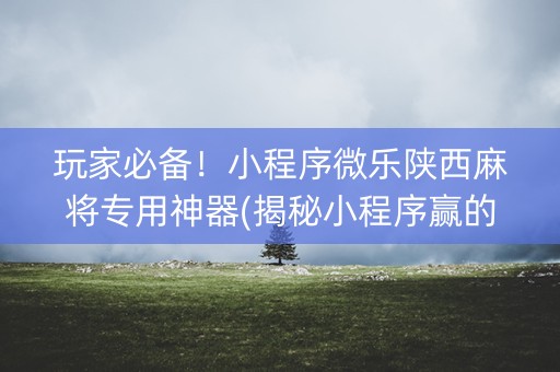 玩家必备！小程序微乐陕西麻将专用神器(揭秘小程序赢的诀窍)