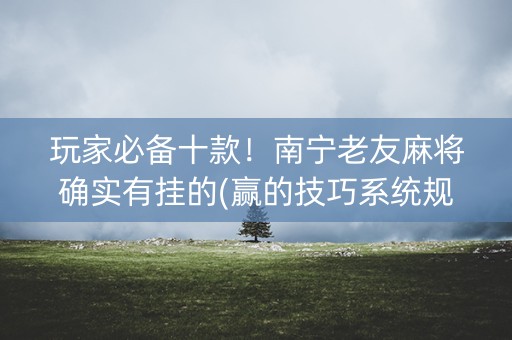 玩家必备十款！南宁老友麻将确实有挂的(赢的技巧系统规律)