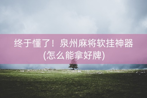 终于懂了！泉州麻将软挂神器(怎么能拿好牌)
