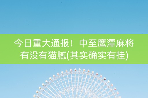 今日重大通报！中至鹰潭麻将有没有猫腻(其实确实有挂)