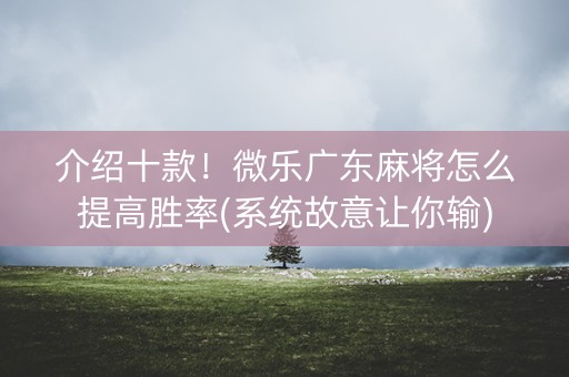 介绍十款！微乐广东麻将怎么提高胜率(系统故意让你输)