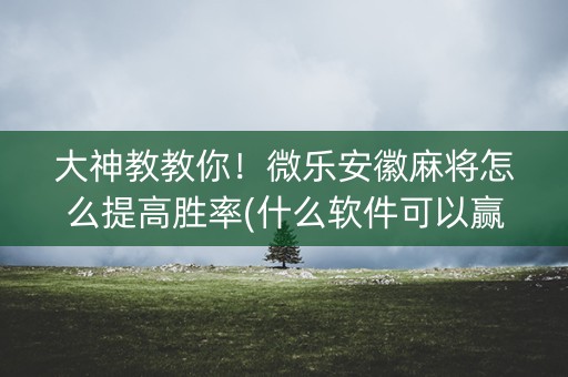 大神教教你！微乐安徽麻将怎么提高胜率(什么软件可以赢)